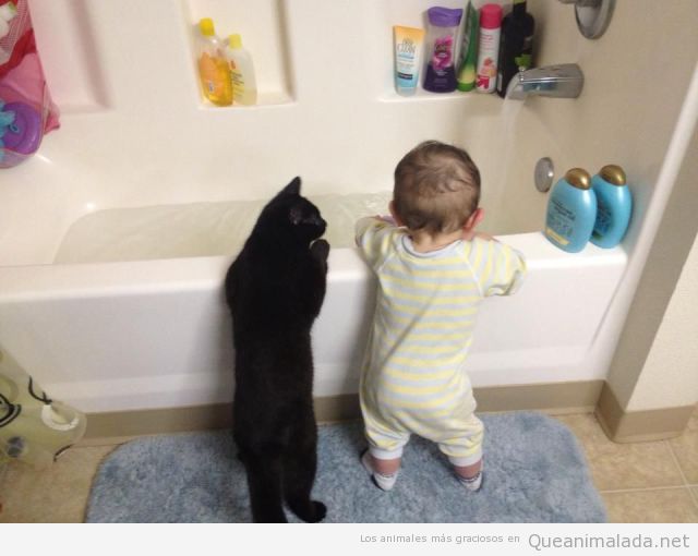 Imagen chistosa de bebé y gato asomados bañera