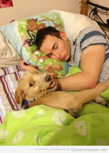 Lo que hace tu perro mientras duermes en la cama
