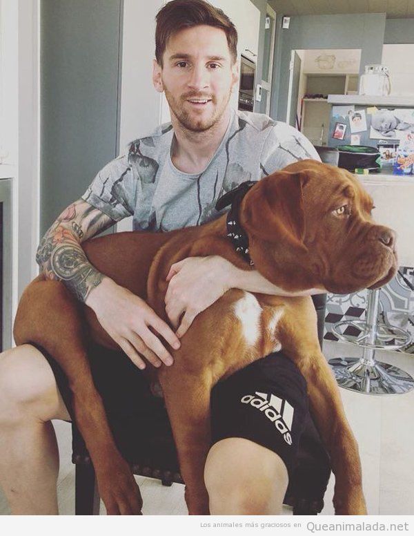 Fotos evolución perro de Messi en 9 meses 2