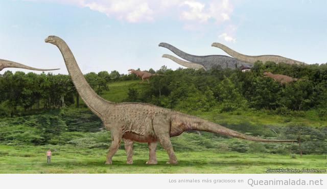 Argentinosaurus dinosaurio más pesado 