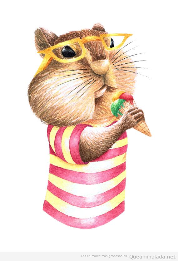 Ilustraciones animales, hamster