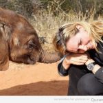 Cría de elefante pequeño toca a una mujer con la trompa