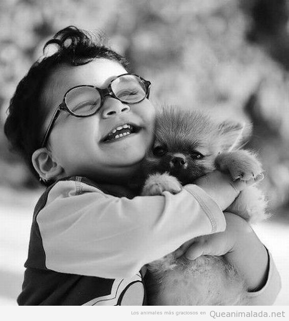 Niño muy feliz abrazando a perro pequeño gracioso