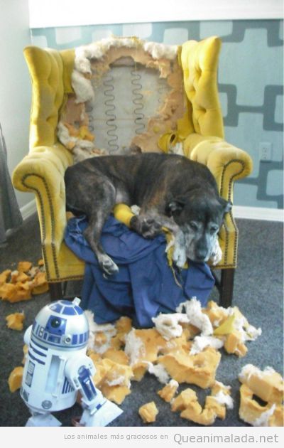 Aggg, es que odiaba la tapicería de ese sillón!