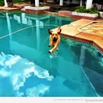 Perro gracioso andando sobre el agua en una piscina