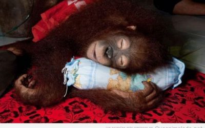 La siesta de los sábados es lo mejor de la semana!