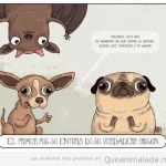 Comic sobre el origen del primer perro pug o carlino