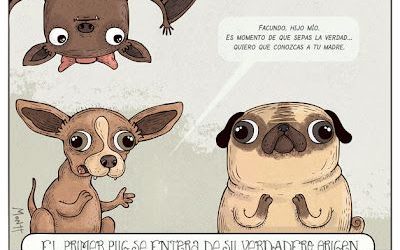 De dónde vienen la raza de los carlinos o pugs?