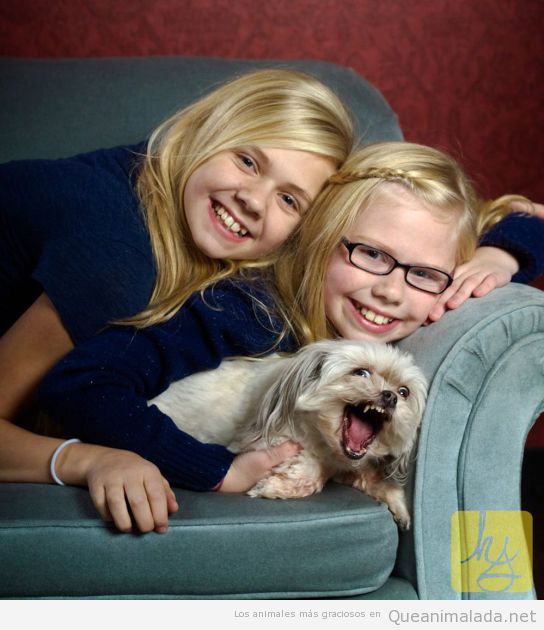 Bonita foto de familia de dos niñas graciosas y un perro que se parece a ellas
