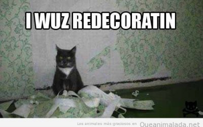 Oops, me habéis pillado redecorando la casa…