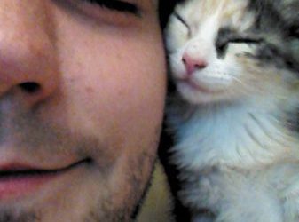 Los gatos y sus dueños también se parecen