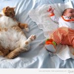 Foto de un bebé y un gato gordo gracioso