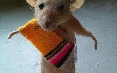 Andele, deme un abracito
