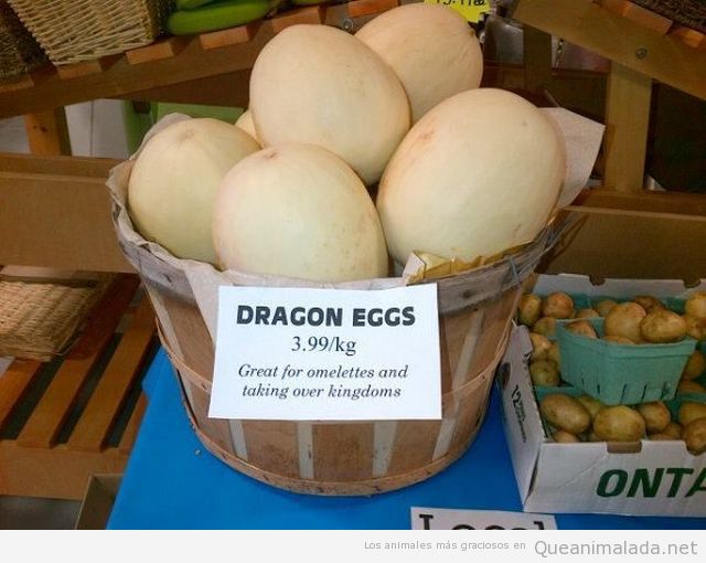 Foto de unos huevos grandes que dicen ser de dragón