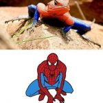 La lagartija de Spiderman