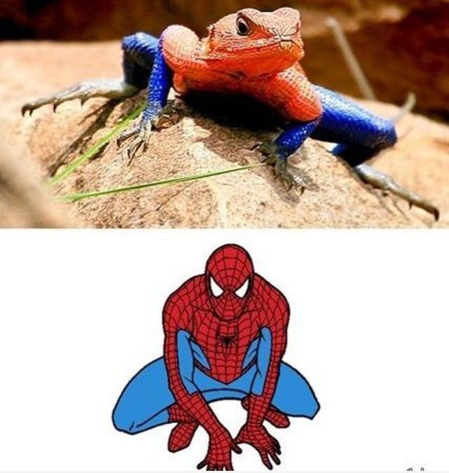 La lagartija de Spiderman