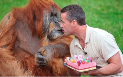 Feliz 50 cumpleaños!