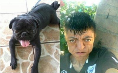 Perros que se parecen demasiado a sus dueños y viceversa