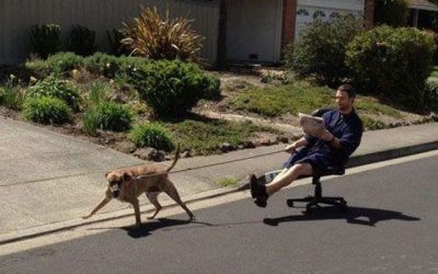 A que tú también has pensado pasear a tu perro así algún día…