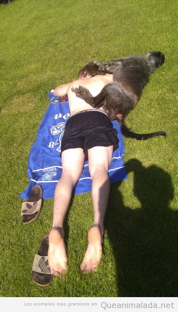 Chico tomando el sol en el césped con su perro