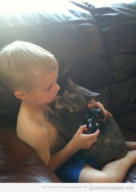 Foto graciosa y bonita de un gato abrazando a un niño que juega a la videoconsola