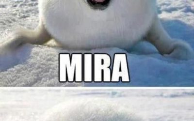 Mira, soy una bola de nieve!