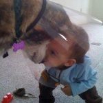 Foto tierna de un bebé dando un beso a un perro herido