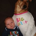 Bebé y perro con camiseta de little brother, big sister