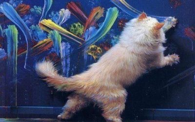 El gato que merece estar en el Reina Sofía