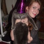 Foto graciosa de un gato con cara de pocos amigos y un sombrero de cumpleaños