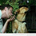 Foto graciosa de un hombre besando la pata de un perro