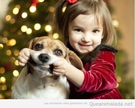 Foto divertido de una niña haciendo sonreir a su perro