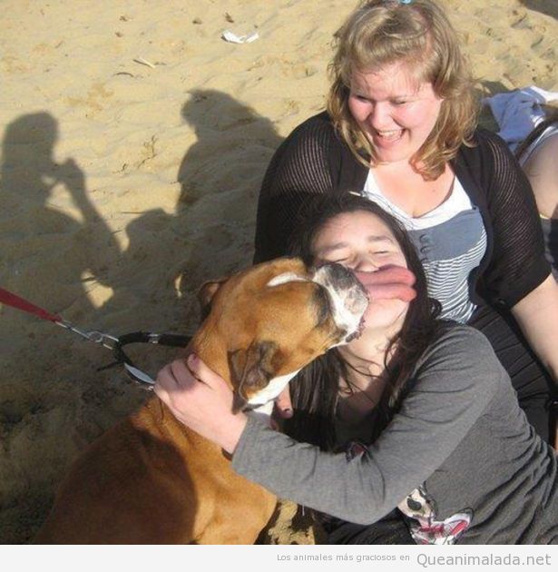Foto graciosa de un perro dando lametazo cara a chica