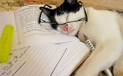 Harto de estudiar para los exámenes de setiembre…