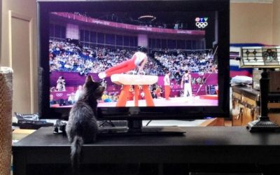 Mi gato no se pierde ni un minuto de los Juegos Olímpicos