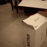 Gif gracioso de un gato en una caja sorpresa