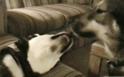 Ay, ¡que te cojo la lengua!