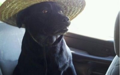 Estoy tan nervioso por ir a la playa que me he puesto un sombrero