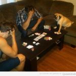 Foto graciosa de un perro jugando al poker con dos hombres