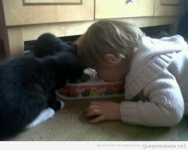 Perro y niño comiendo del mismo cuenco