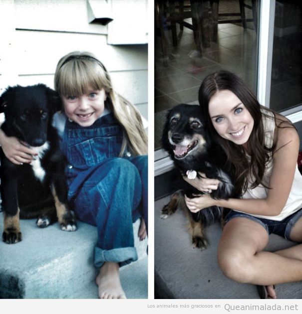 Fotos de un cachorro con una niña y la misma foto 15 años después