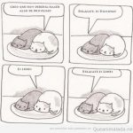 Comic divertido de gatos perezosos