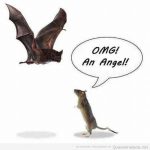 Dibujo gracioso de una rata que cree que un murciélago es un ángel