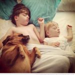 Imagen tierna y bonita de dos niños duermiendo con un perro