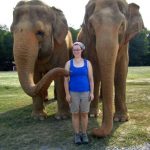 Foto graciosa elefantes con turista