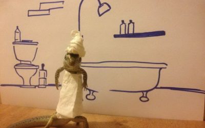 Hora de darse un baño…