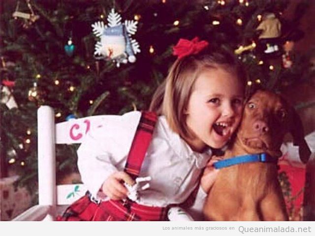 Foto graciosa de una niña mostrando amor hacia su perro