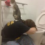 Foto graciosa de gato subido encima espalda de un niño vomitando en el wc