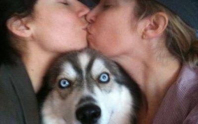 Husky jodefotos