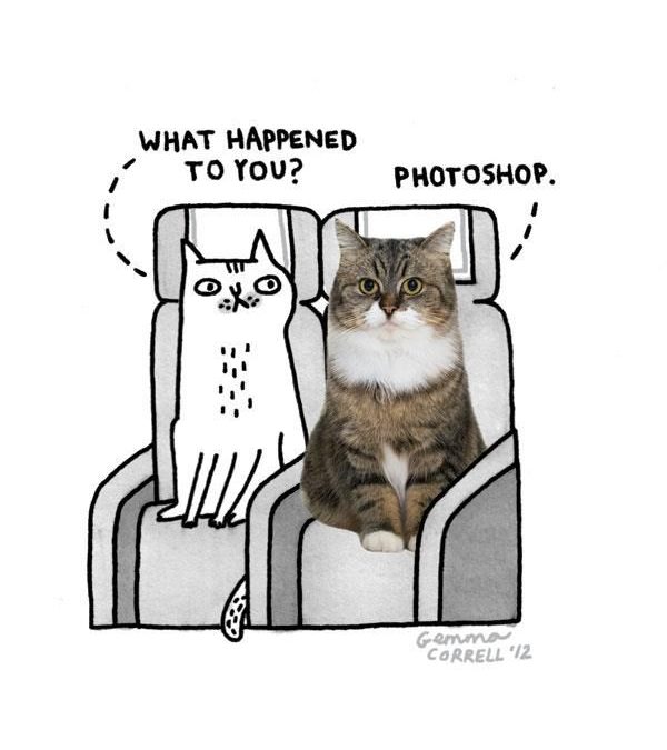 Comic gracioso de dos gatos, uno con Photoshop